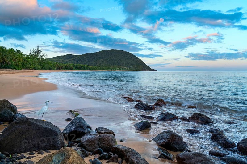 Grande Anse beach, coast and sea at dawn, Deshaies, Basse Terre, Guadeloupe, French Antilles, Caribbean