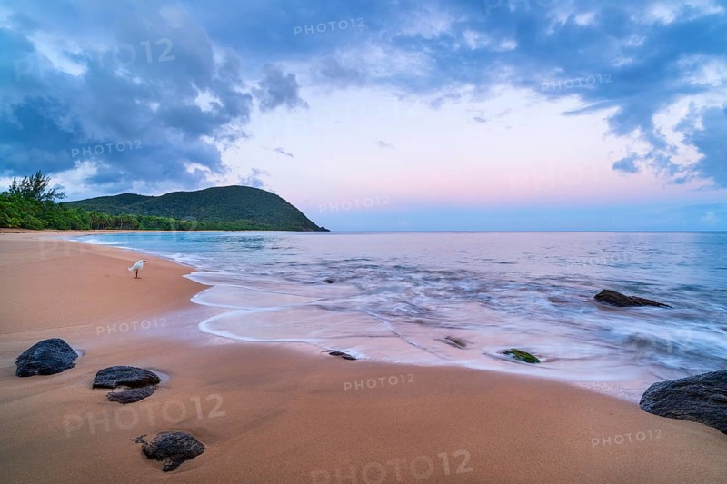 Grande Anse beach, coast and sea at dawn, Deshaies, Basse Terre, Guadeloupe, French Antilles, Caribbean