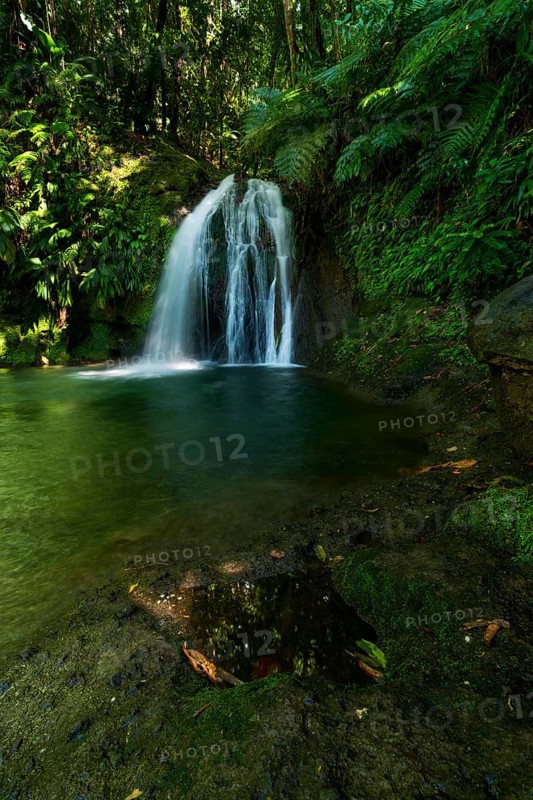 Cascade aux Ecrevisses waterfall in the Guadeloupe National Park, Basse Terre, Guadeloupe, French Antilles, Caribbean