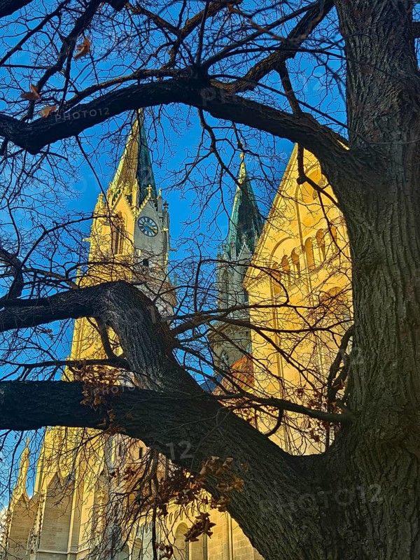 Two church towers protrude from behind a tree, silhouetted against the clear blue sky, Klosterneuburg Lower Austria Austria