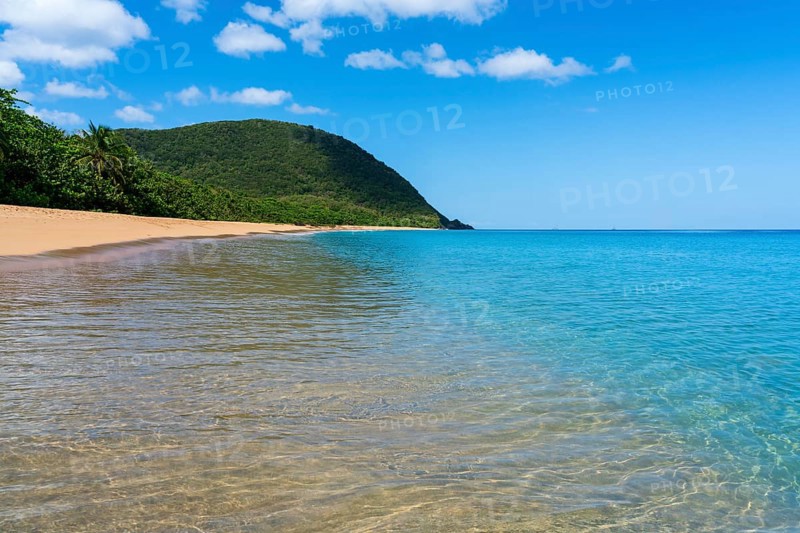 Grande Anse beach, Deshaies, Basse Terre, Guadeloupe, French Antilles, Caribbean