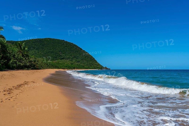 Grande Anse beach, Deshaies, Basse Terre, Guadeloupe, French Antilles, Caribbean