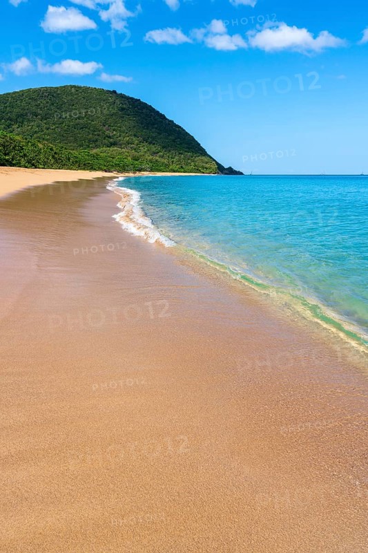 Grande Anse beach, Deshaies, Basse Terre, Guadeloupe, French Antilles, Caribbean