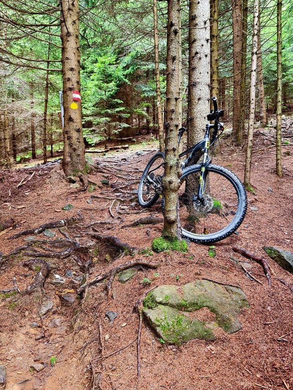 Mountain bike on trees in the forest, surrounded by earth and roots Styria Austria