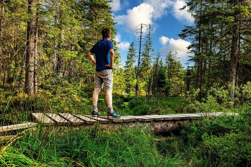 Hiker on the boardwalk in the HirschbÃ¤der Hochmoor, Zweiseenblickmoor, Menzenschwand, Black Forest, Baden-WÃ¼rttemberg, Germany