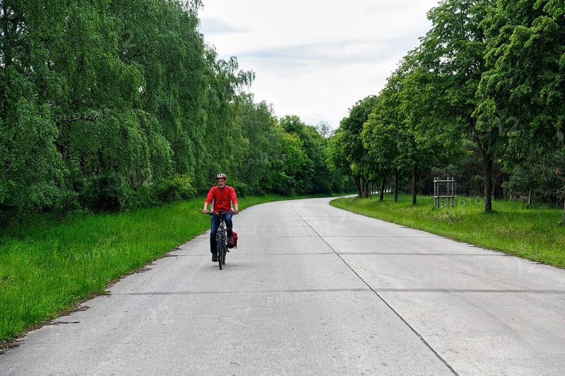Cyclist on through road, cycle tour across military training area, Senne nature reserve, Teutoburg Forest, North Rhine-Westphalia, Germany