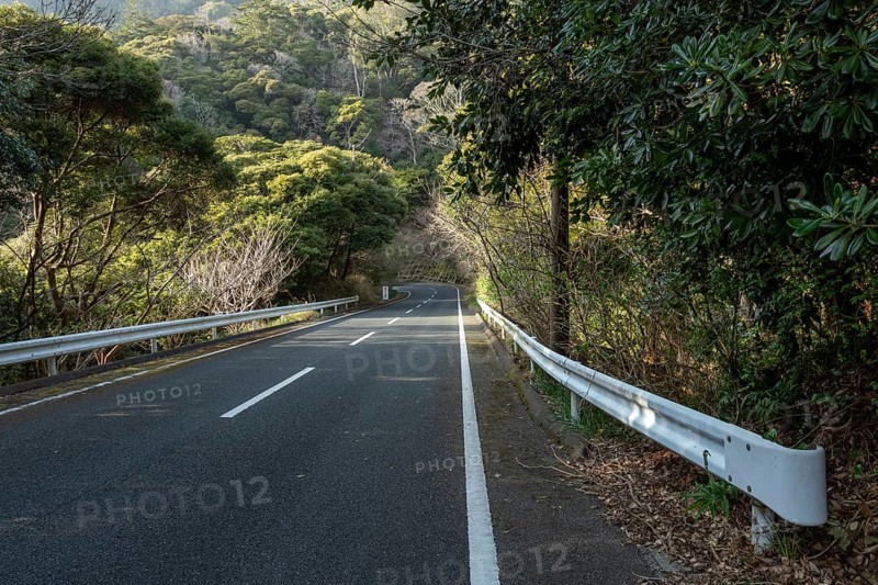 Guardrail and tarmac road through green vegetation and mountain landscape in the evening light, Hota, Kyonan, Chiba Prefecture, Japan