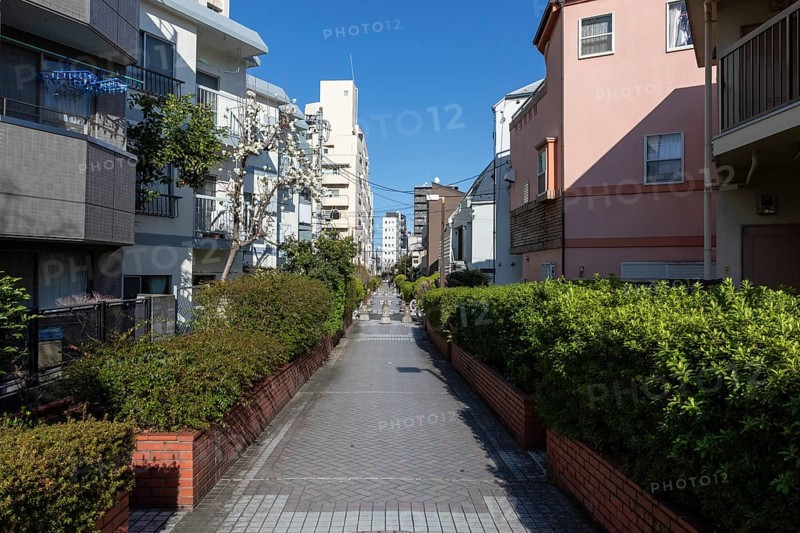 Residential buildings in front of a blue sky in a narrow alley with green plants and idyllic blossoming trees in spring, Higashi-Nakano, Tokyo, Chiba, Japan