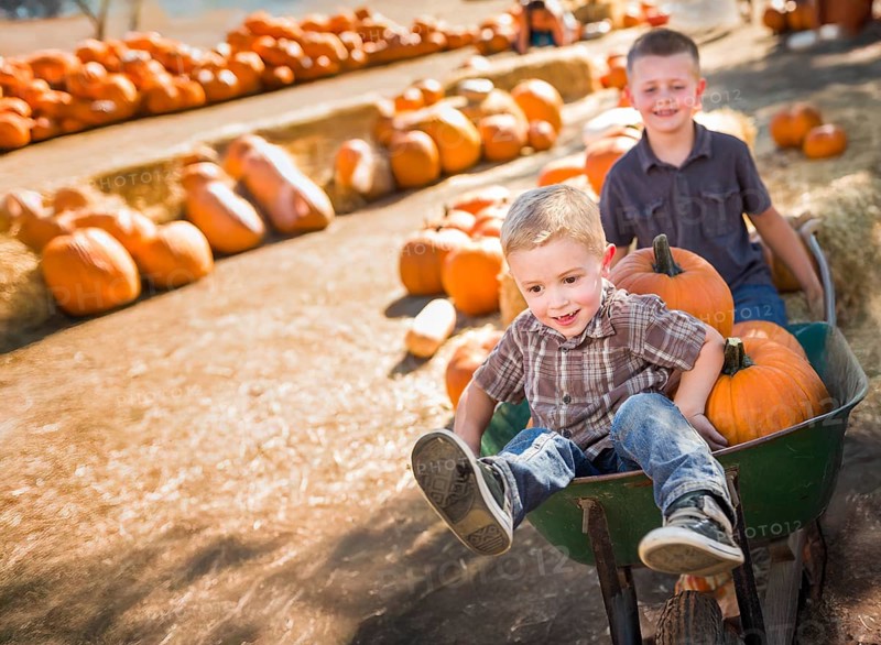 Two little boys playing in wheelbarrow at the pumpkin patch on a sunny fall day