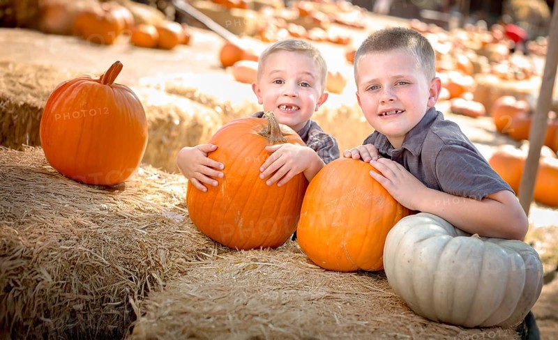 Two boys having fun at the pumpkin patch on a sunny fall day