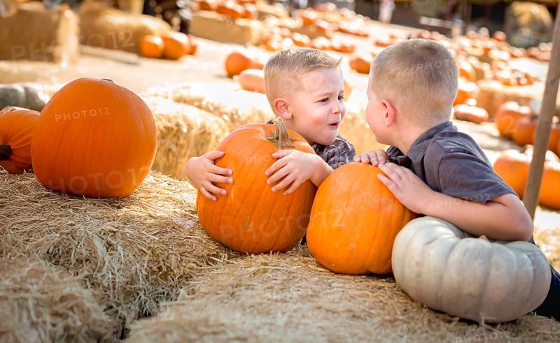 Two boys having fun at the pumpkin patch on a sunny fall day