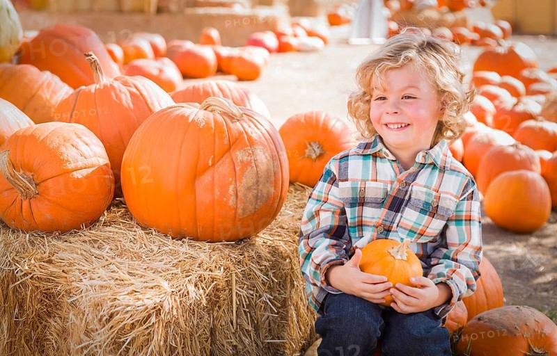 Cute young boy having fun at the pumpkin patch on a sunny fall day