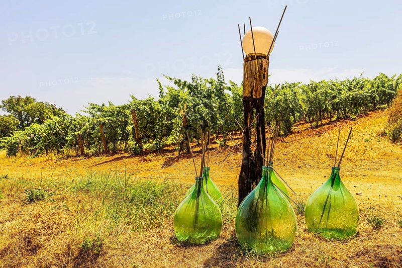 Art object with green glass bottles next to a vineyard, near Arrighi Winery, Porto Azzurro, Elba Island, Tuscan Archipelago National Park, Tuscany, Italy
