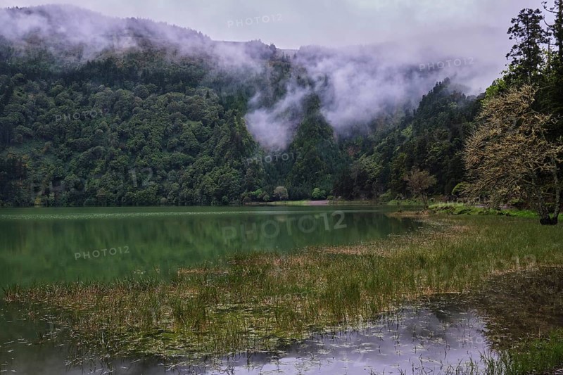 At Lagoa Azul, Sete Cidades, SÃ£o Miguel, Azores, Portugal