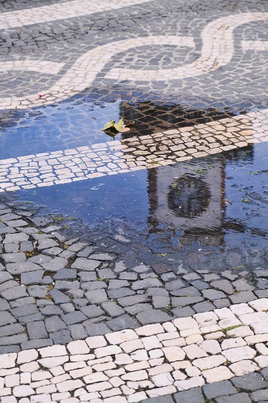 Tower of the town hall reflected in a puddle, Ponta Delgada, SÃ£o Miguel, Azores, Portugal