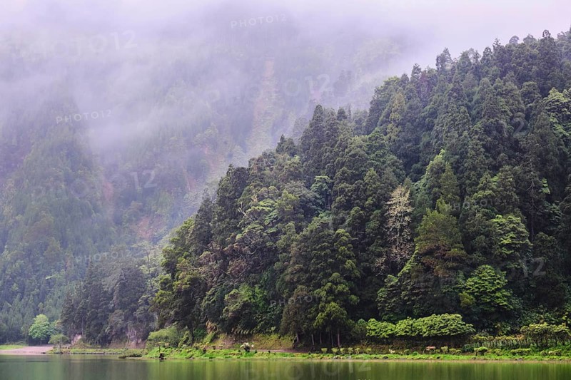 At Lagoa Azul, Sete Cidades, SÃ£o Miguel, Azores, Portugal