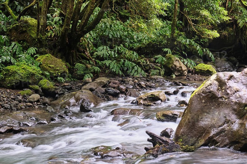 Torrent, Salto do Cabrito waterfall, SÃ£o Miguel, Azores, Portugal