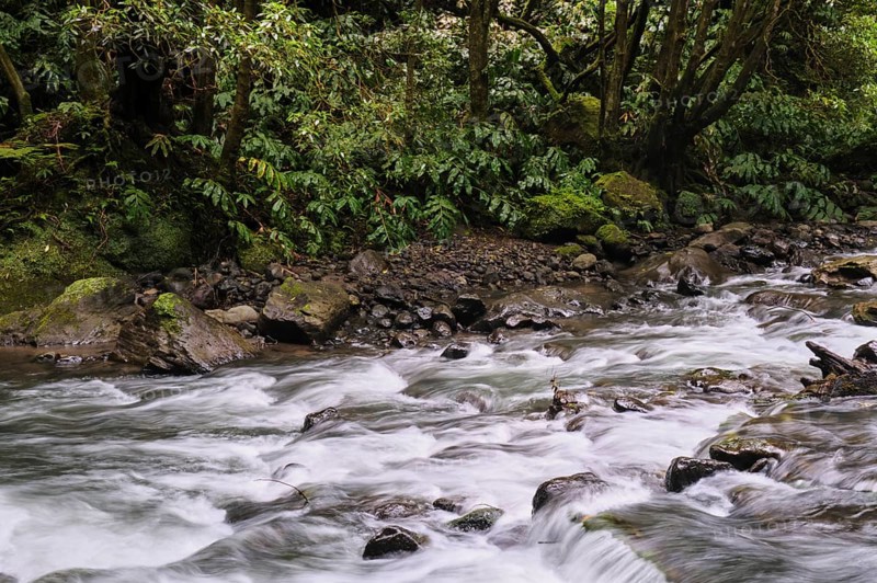 Torrent, Salto do Cabrito waterfall, SÃ£o Miguel, Azores, Portugal
