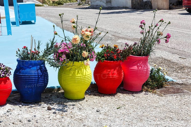 Brightly coloured flower pots with carnations by the roadside, Akrotiri, Santorini, Cyclades, Greece
