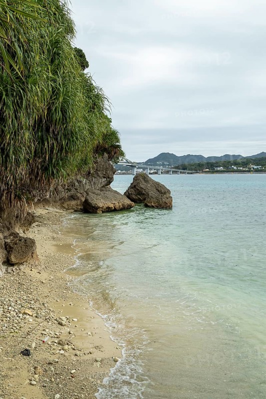 Lover Beach, volcanic rocks and vegetation on the beach of Sesoko-jima, Sesoko Island, Motobu, Kunigami District, Okinawa, Japan