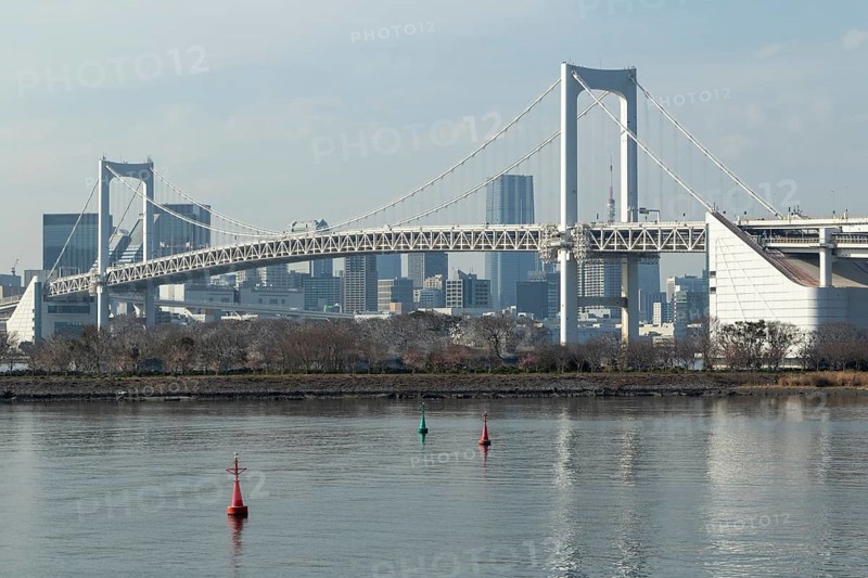 Landmark, Architecture, View of the Rainbow Brigde over Tokyo Bay, Odaiba, Minato City, Tokyo, Japan