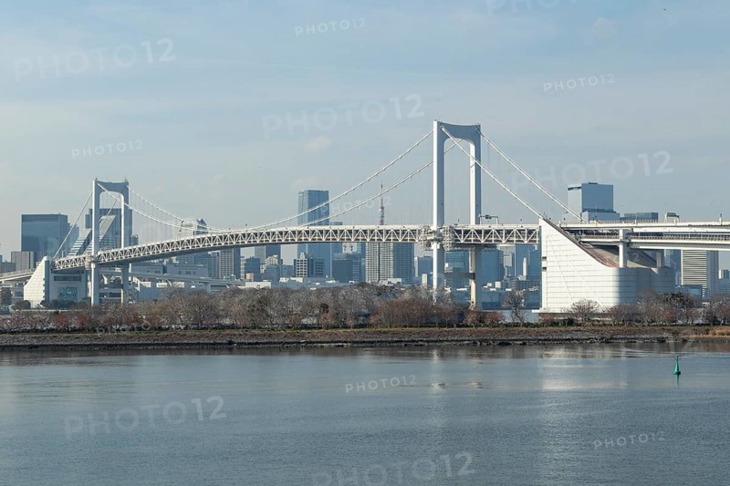 Landmark, Architecture, View of the Rainbow Brigde over Tokyo Bay, Odaiba, Minato City, Tokyo, Japan