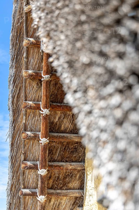 Close-up of a thatched roof with rope connections against a blue sky, pile dwellings at Unteruhldingen Open-Air Museum on Lake Constance Germany