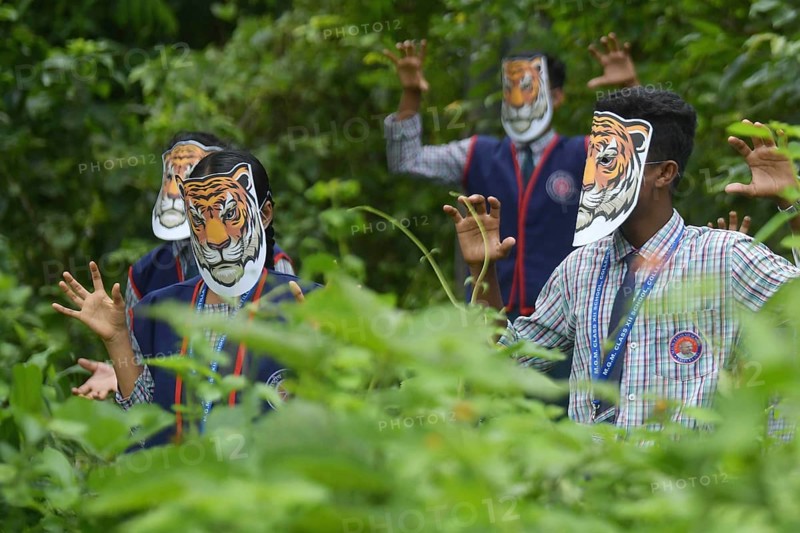 Agartala, Tripura, India, 29-07-2025: Students of NSS (National Service Scheme) unit from Mahatma Gandhi Memorial School wearing tiger masks during an event on Tiger Conservation on International Tiger day, organised by Sima Chakma, coordinator of MGM NSS UNIT at Agartala. International Tiger day is an annual celebration to raise awareness for tiger conservation, held annually on 29th July. Photo By-Abhisek Saha