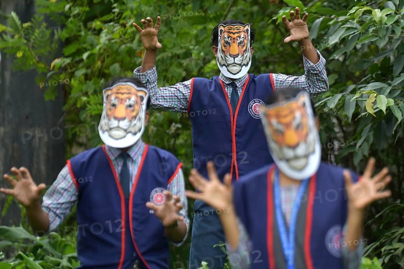 Agartala, Tripura, India, 29-07-2025: Students of NSS (National Service Scheme) unit from Mahatma Gandhi Memorial School wearing tiger masks during an event on Tiger Conservation on International Tiger day, organised by Sima Chakma, coordinator of MGM NSS UNIT at Agartala. International Tiger day is an annual celebration to raise awareness for tiger conservation, held annually on 29th July. Photo By-Abhisek Saha