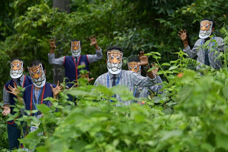 Agartala, Tripura, India, 29-07-2025: Students of NSS (National Service Scheme) unit from Mahatma Gandhi Memorial School wearing tiger masks during an event on Tiger Conservation on International Tiger day, organised by Sima Chakma, coordinator of MGM NSS UNIT at Agartala. International Tiger day is an annual celebration to raise awareness for tiger conservation, held annually on 29th July. Photo By-Abhisek Saha
