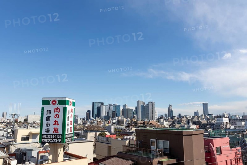Modern architecture, view over the rooftops of the city to the glass facades of skyscrapers against a blue sky, skyline of Shinjuku, Tokyo, Chiba, Japan