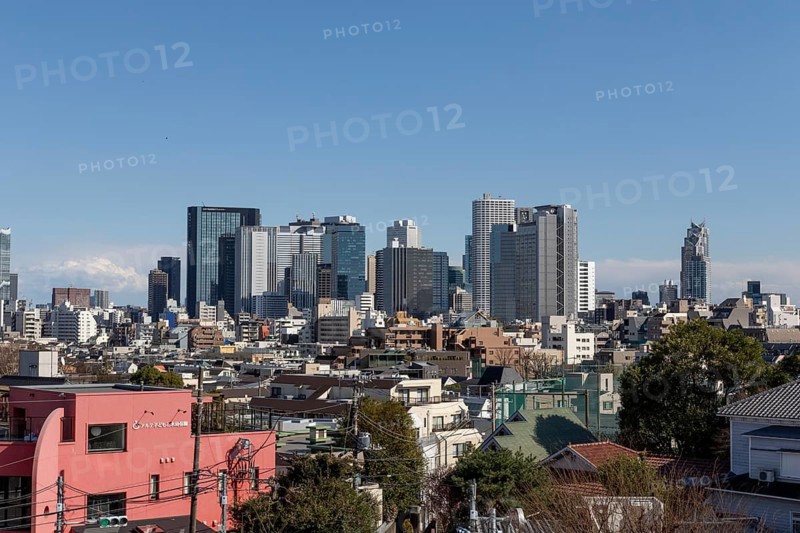 Modern architecture, view over the rooftops of the city to the glass facades of skyscrapers against a blue sky, skyline of Shinjuku, Tokyo, Chiba, Japan