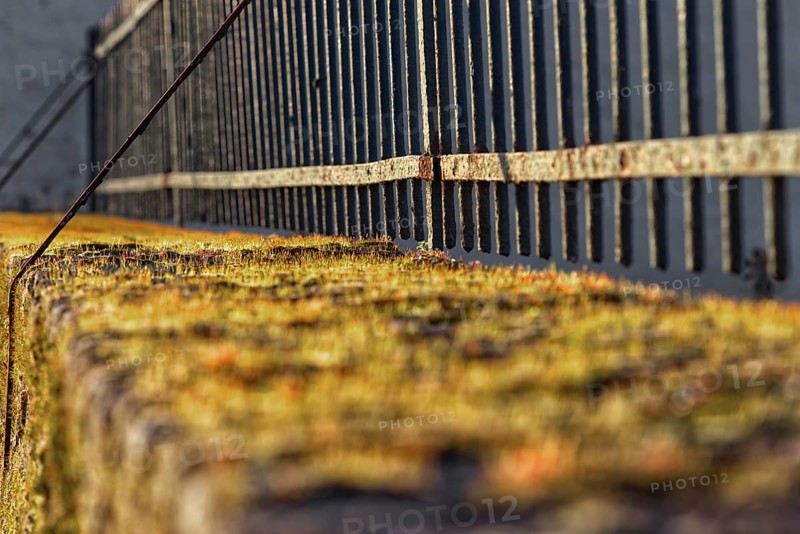 Moss-covered stone wall with parallel iron fence, Krefeld