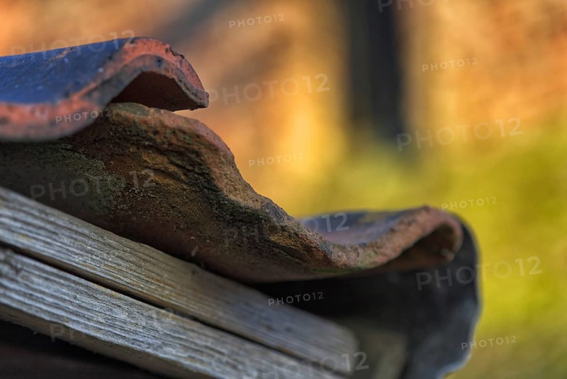Detail of an old roof with missing tiles in warm light, Krefeld