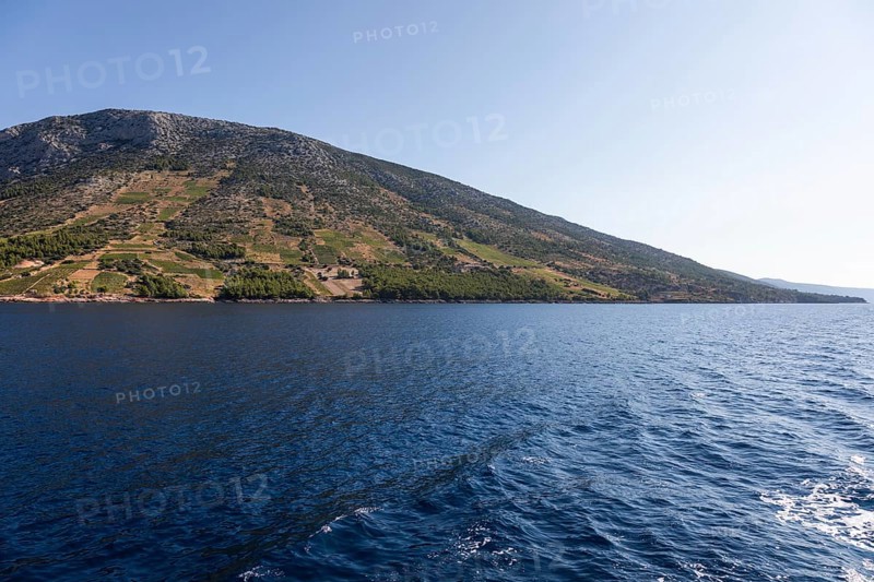 View from the sea of vineyards on the coast of the island of Hvar, near Ivan Dolac, Hvar, Dalmatia, Croatia