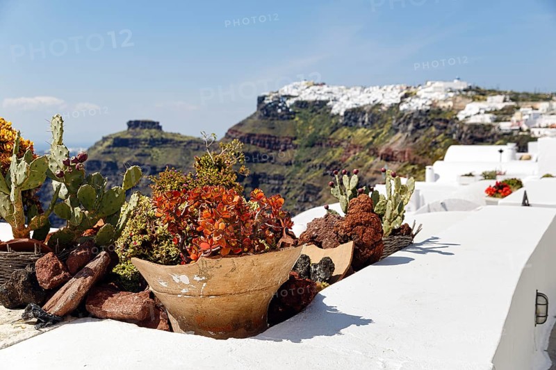 Flower pot on a house roof, Firostefani, Santorini, Greece