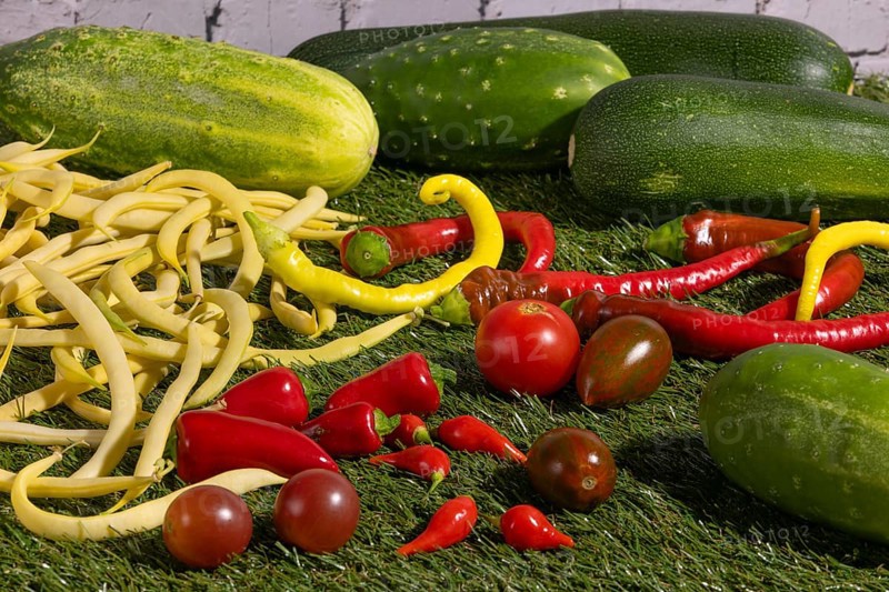 Vegetable mix of yellow beans, cucumbers, tomatoes, peppers and courgettes on green grass