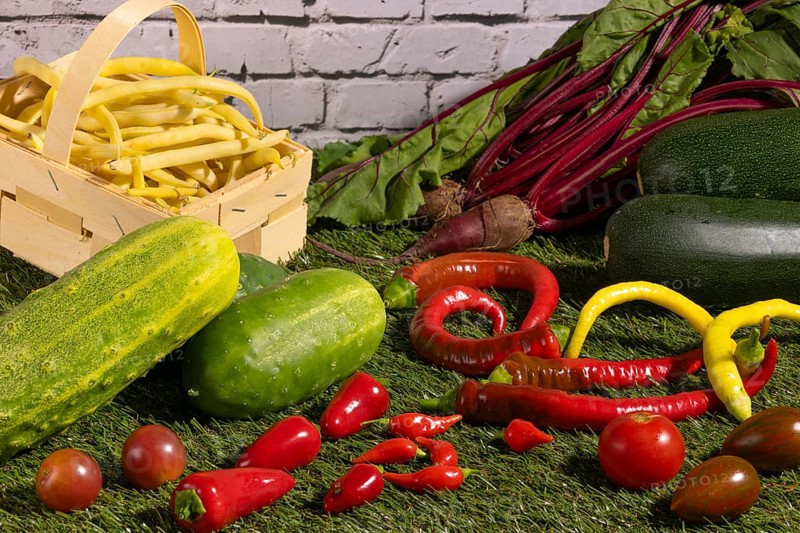 Vegetable mix of yellow beans, beetroot, cucumber, tomatoes, peppers and courgettes on green grass