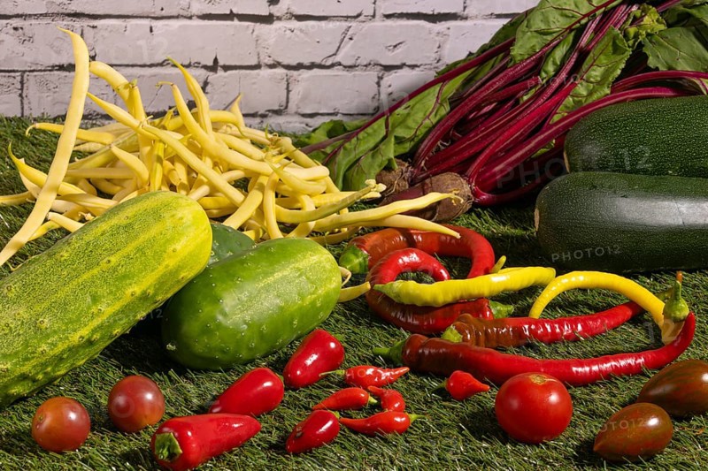 Vegetable mix of yellow beans, beetroot, cucumber, tomatoes, peppers and courgettes on green grass