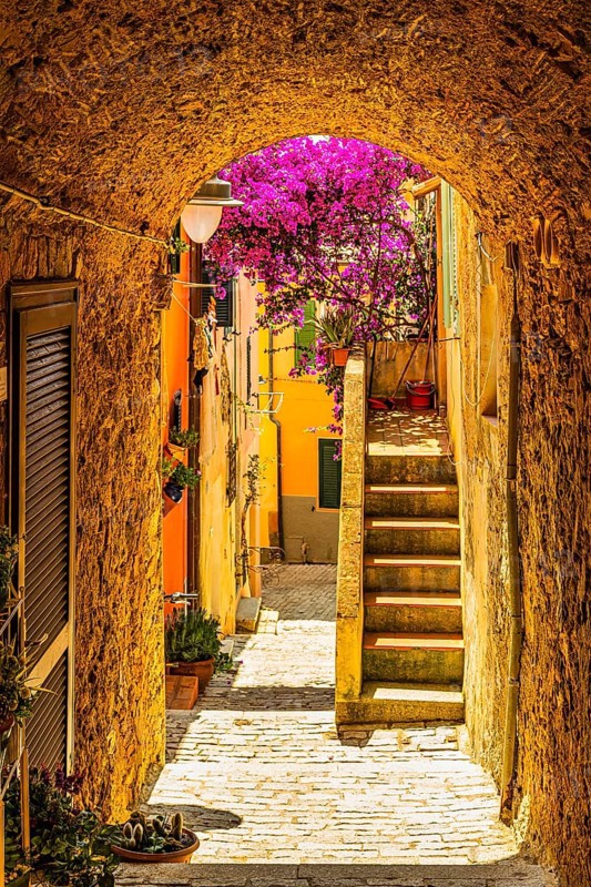 Narrow passageway on Via Roma, Capoliveri, Elba Island, Tuscan Archipelago National Park, Tuscany, Italy