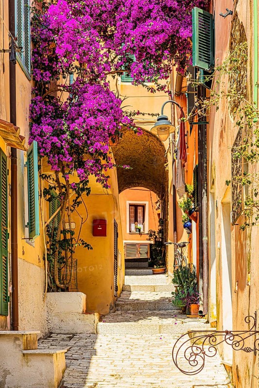 Passageway to Via Roma, purple flowering bougainvillea bush, Elba Island, Tuscan Archipelago National Park, Tuscany, Italy