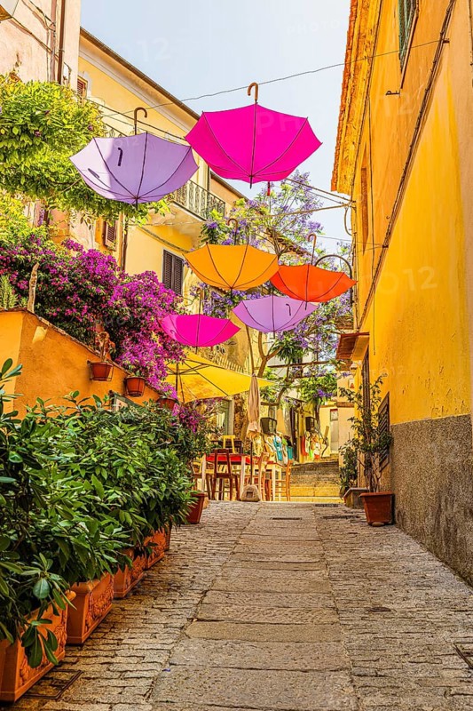Coloured umbrellas span the Via Cavour, Capoliveri, Elba Island, Tuscan Archipelago National Park, Tuscany, Italy
