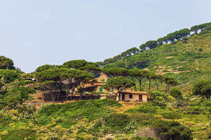 Holiday homes at Punta della Ciarpa, Elba Island, Tuscan Archipelago National Park, Tuscany, Italy