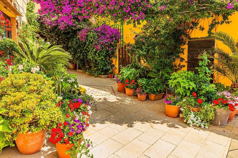 Courtyard decorated with flower pots, Capoliveri, Elba Island, Tuscan Archipelago National Park, Tuscany, Italy