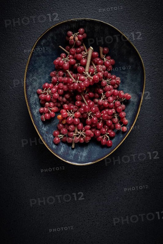 Shtoshi berry, Shepherd's pie, a hybrid of sea buckthorn and barberry, top view, no people
