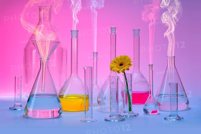 Variety of partly filled laboratory glassware including a flower head and some smoke in colorful ambiance