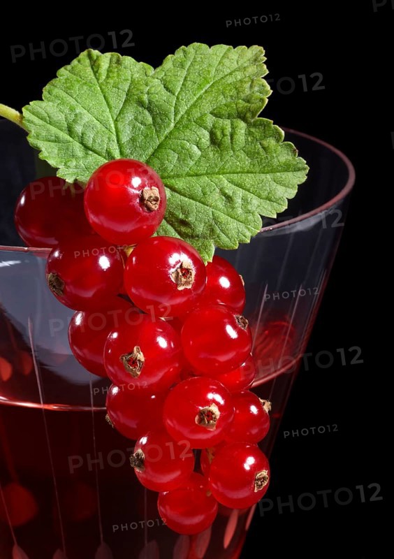 Redcurrant berries as decoration on a cocktail glass in front of black back