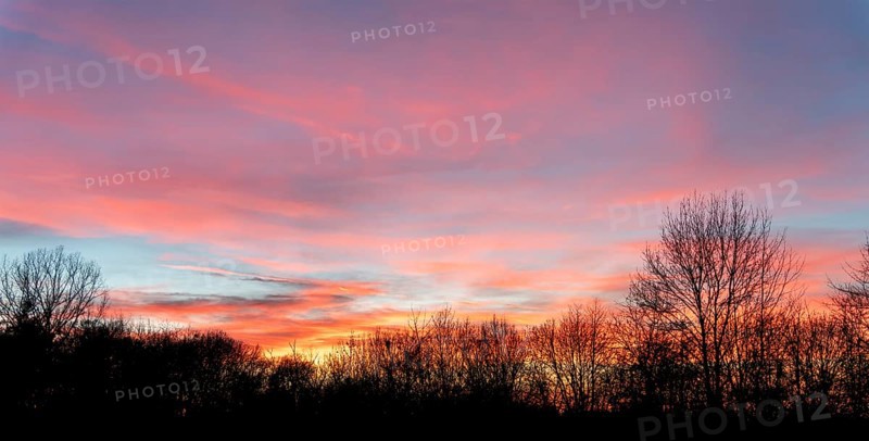 A colorful sundown including some clouds behind some leafless treetop silhouettes