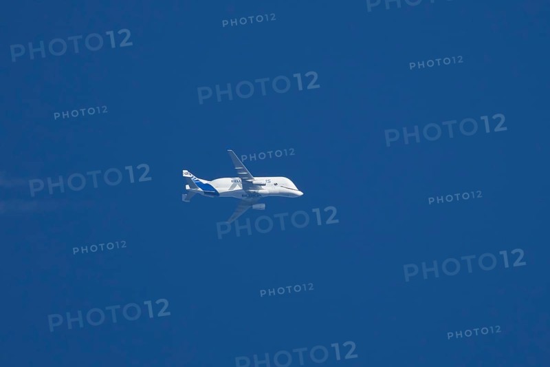 Airbus A300-600ST Super Transporter or Beluga aircraft in flight in a blue sky with vapour trails or contrails behind, England, United Kingdom