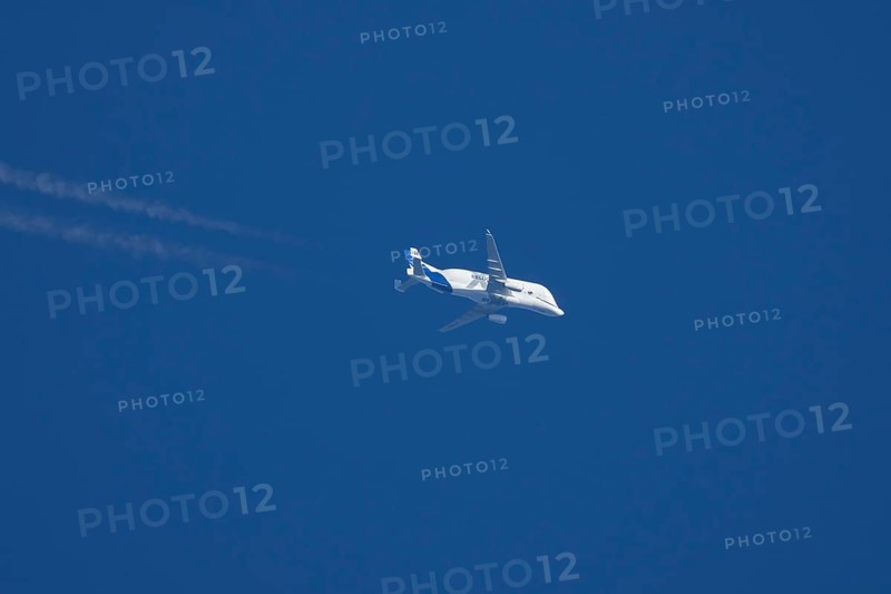 Airbus A300-600ST Super Transporter or Beluga aircraft in flight in a blue sky with vapour trails or contrails behind, England, United Kingdom